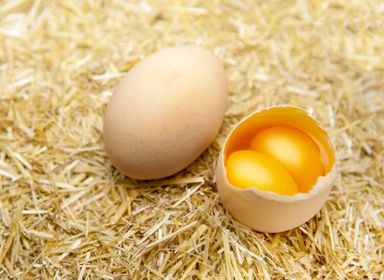 İkiqat yumurta sarısı izah edildi: niyə baş verir və daha çox ...
