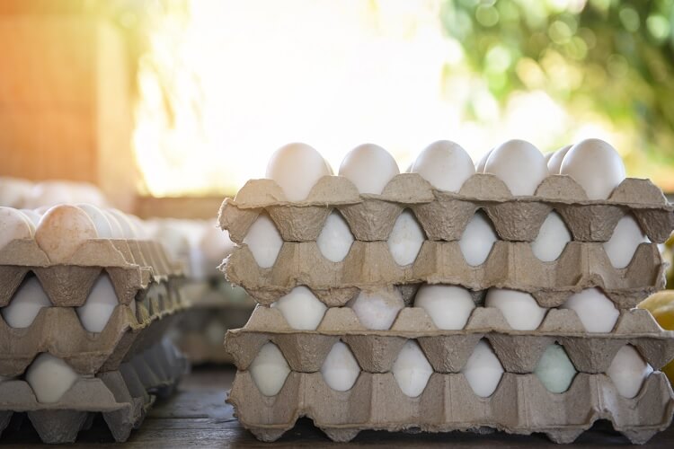 Wie lange sind frische Eier haltbar: Der vollständige Leitfaden